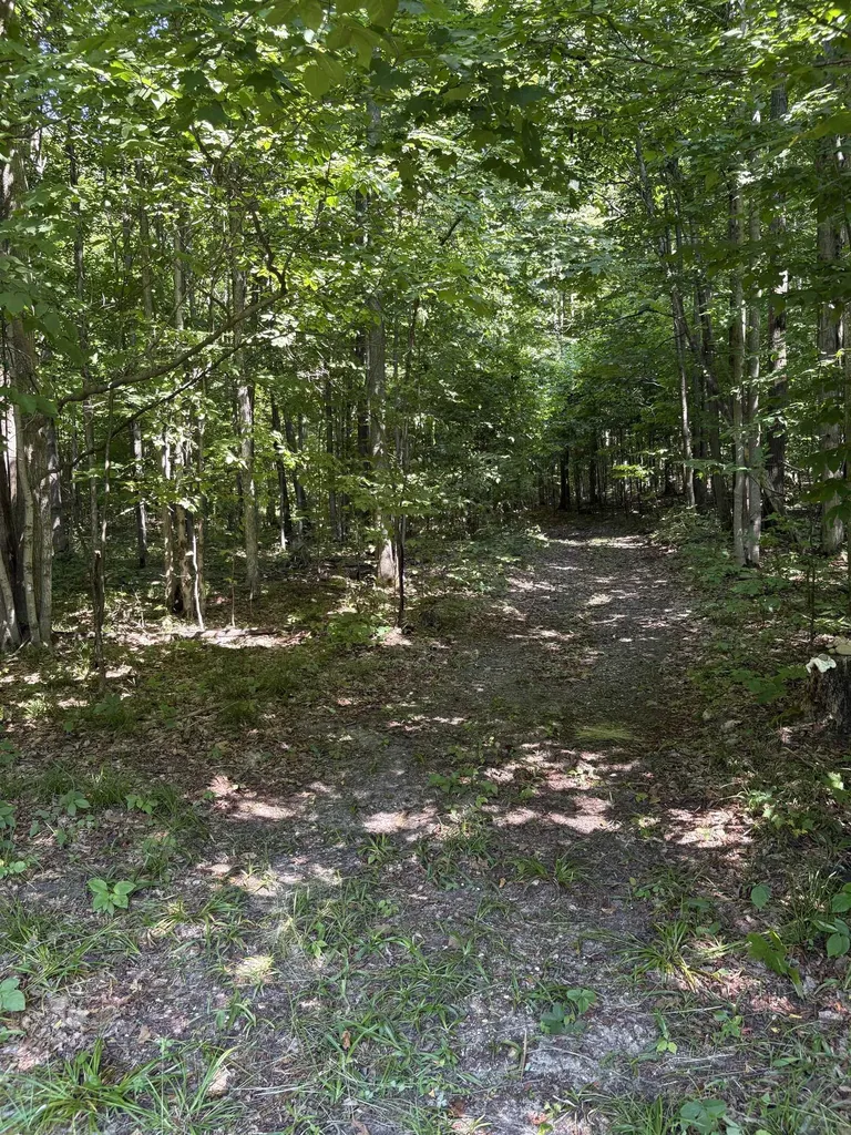 8655 SE Campbell Road Garfield Township MI 49633
