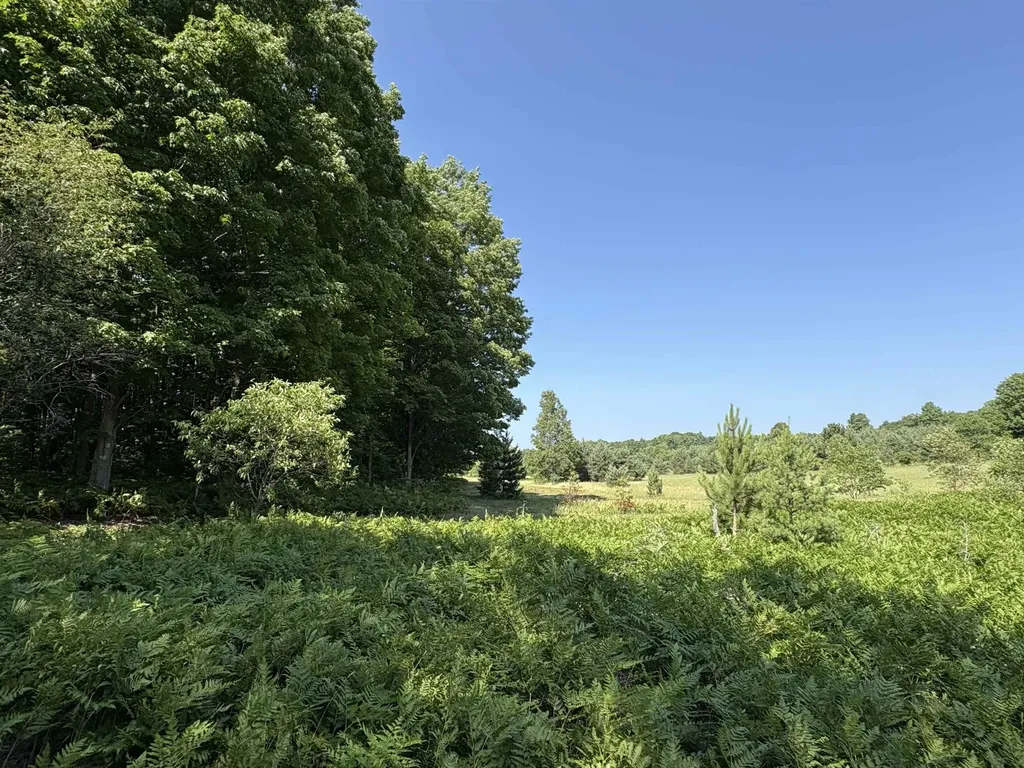 8655 SE Campbell Road Garfield Township MI 49633