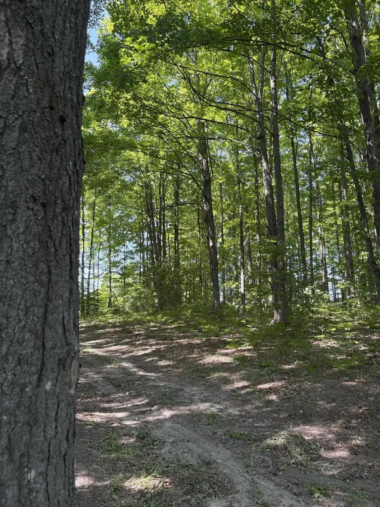 8655 SE Campbell Road Garfield Township MI 49633