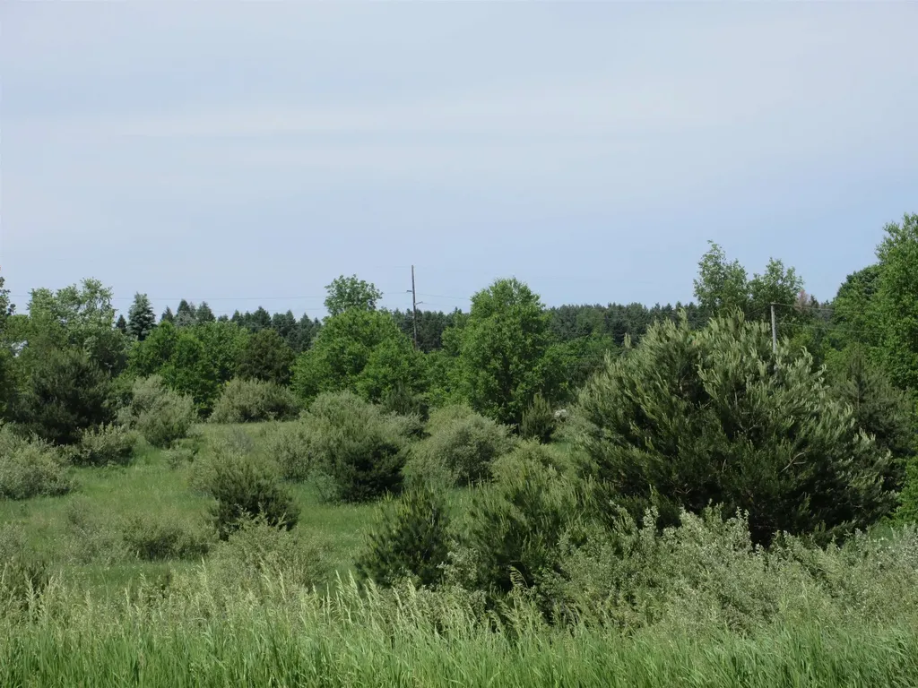 High Lake Road East Bay Township MI 49696