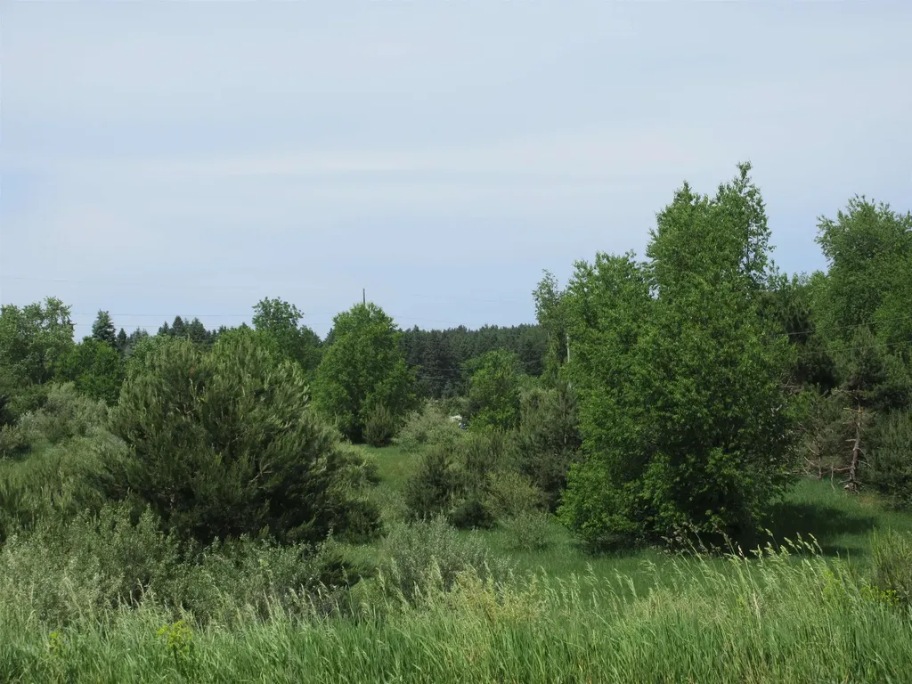 High Lake Road East Bay Township MI 49696