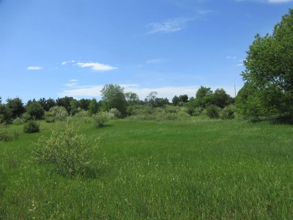 High Lake Road East Bay Township MI 49696