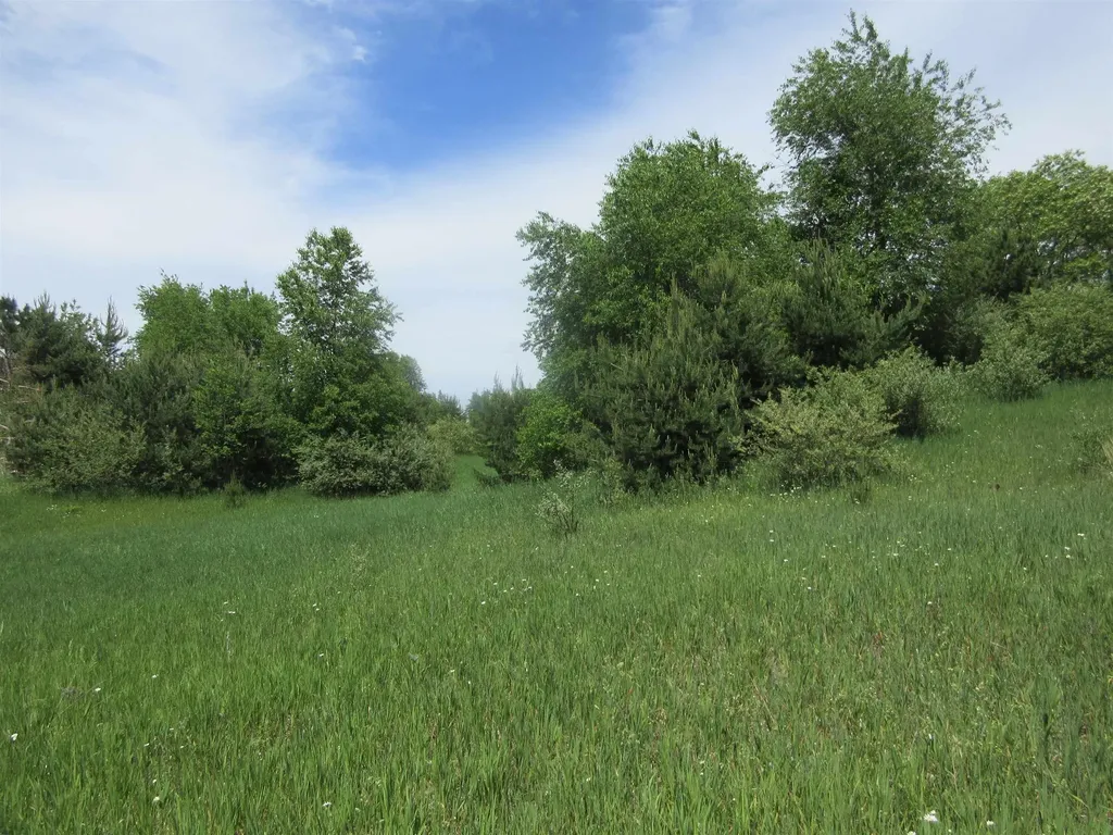 High Lake Road East Bay Township MI 49696