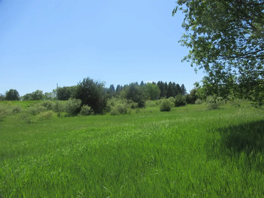 High Lake Road East Bay Township MI 49696