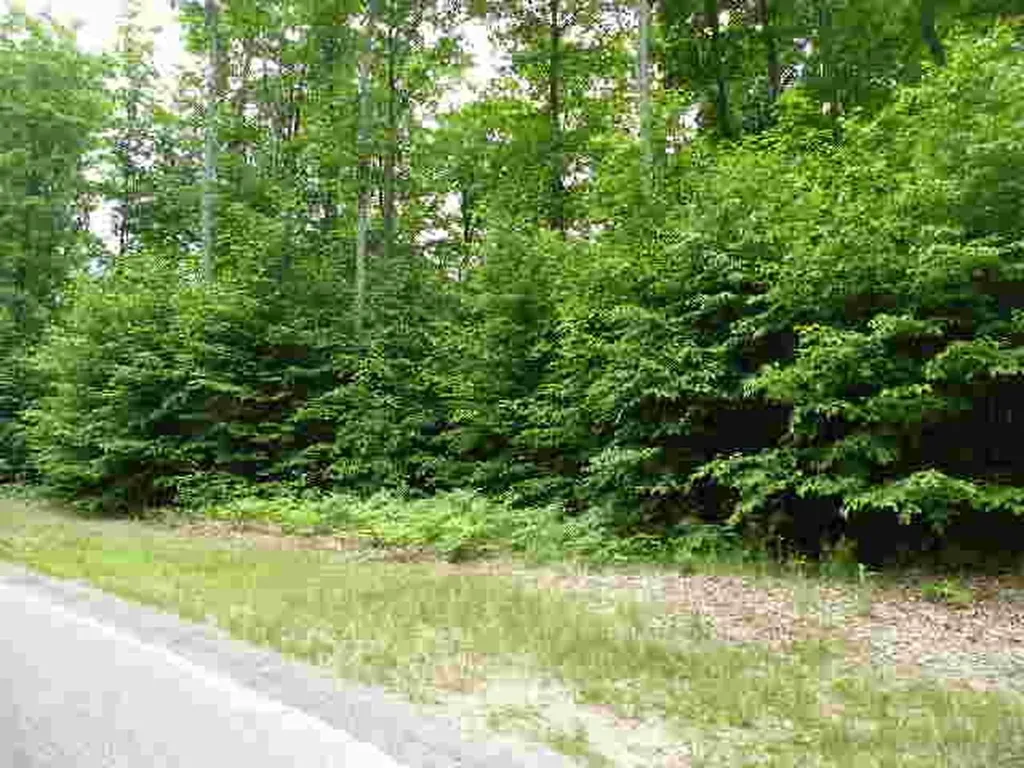 71 Broadwinged Way Kearney Township MI 49615