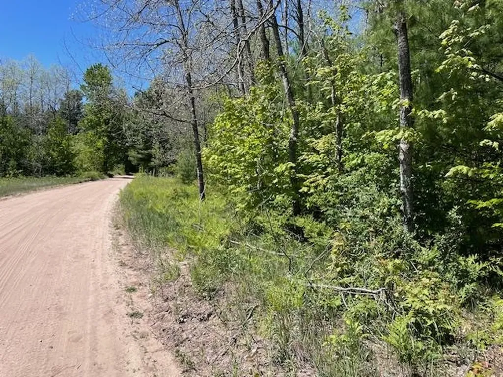 00 Aylsworth Road Homestead Township MI 49617