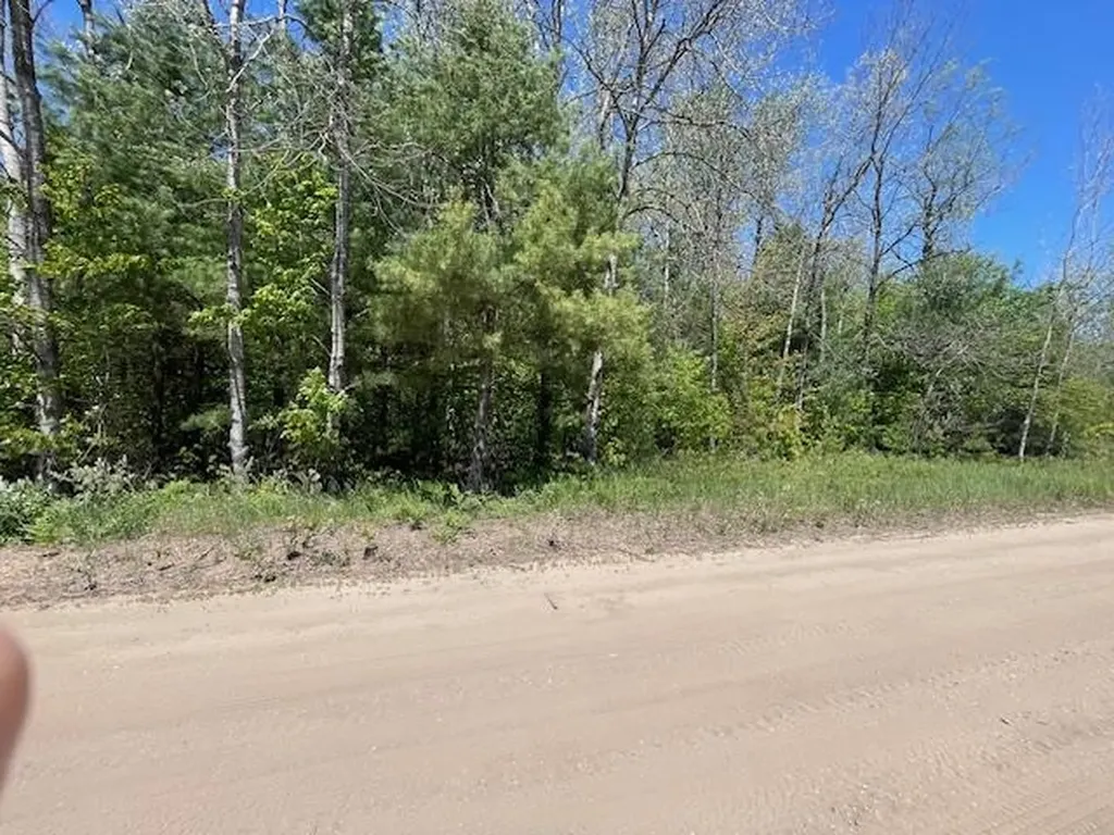 00 Aylsworth Road Homestead Township MI 49617