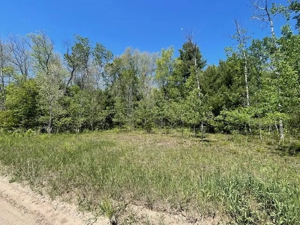 00 Aylsworth Road Homestead Township MI 49617