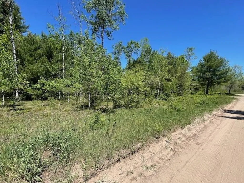 00 Aylsworth Road Homestead Township MI 49617