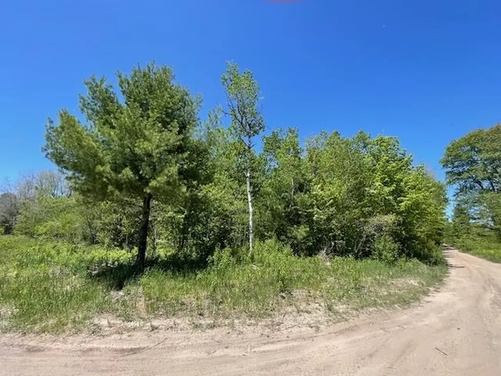 00 Aylsworth Road Homestead Township MI 49617