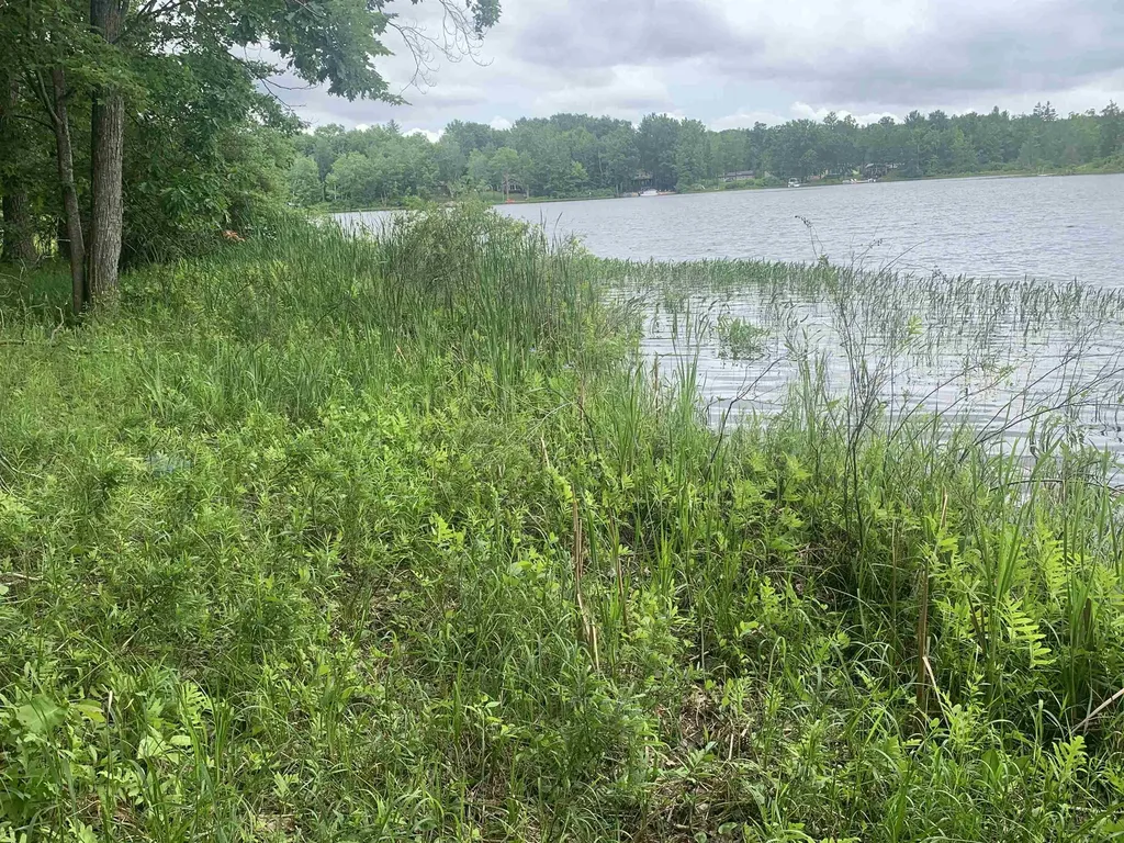 00 Wildwood Court Hartwick Township MI 49631