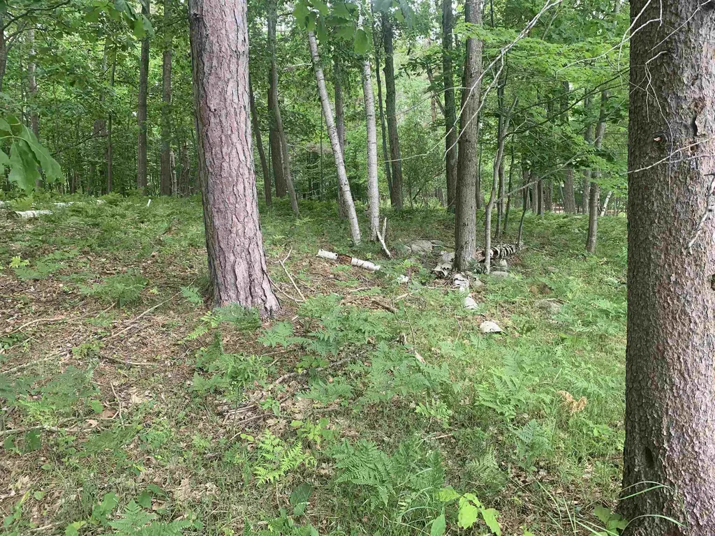 00 Wildwood Court Hartwick Township MI 49631