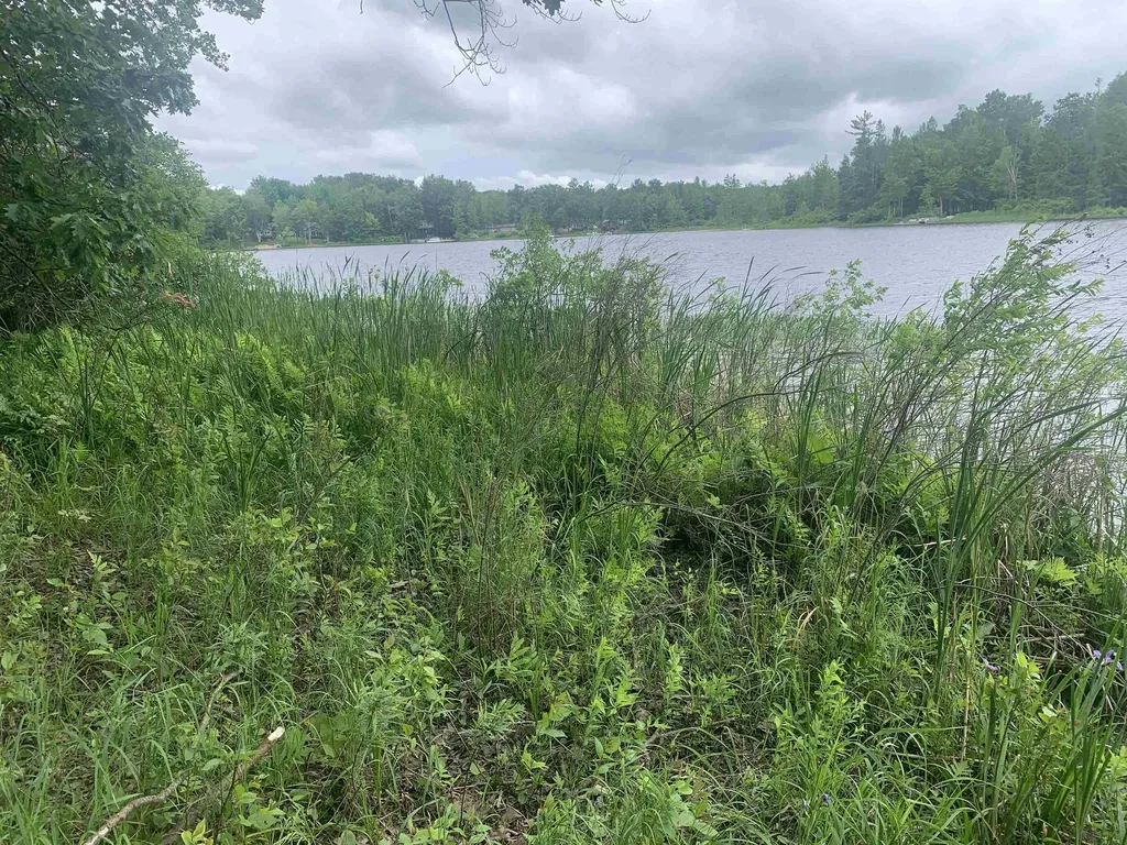 00 Wildwood Court Hartwick Township MI 49631