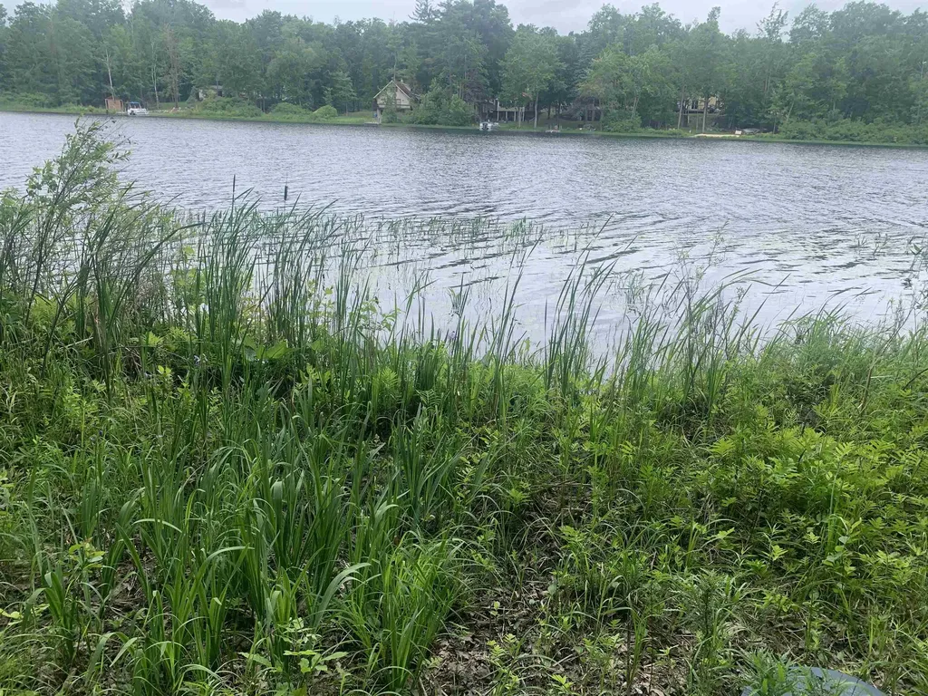 00 Wildwood Court Hartwick Township MI 49631