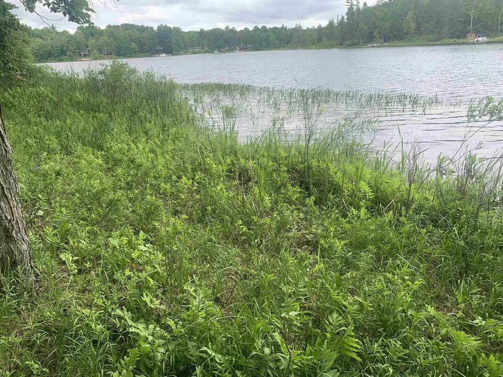 00 Wildwood Court Hartwick Township MI 49631