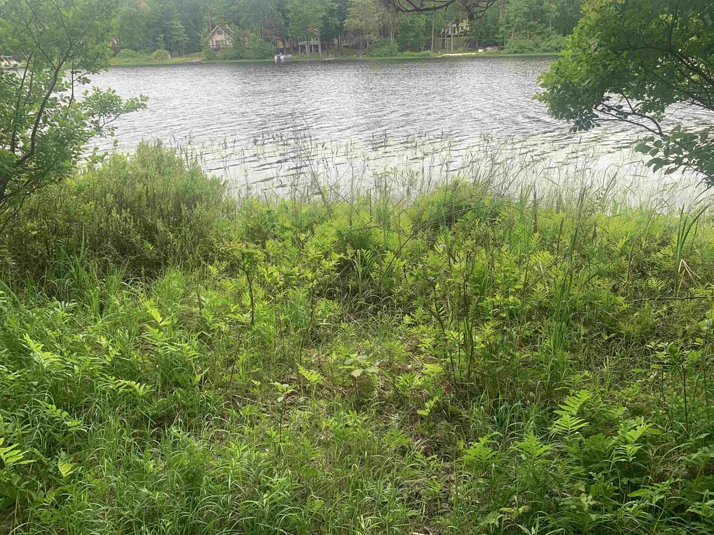 00 Wildwood Court Hartwick Township MI 49631