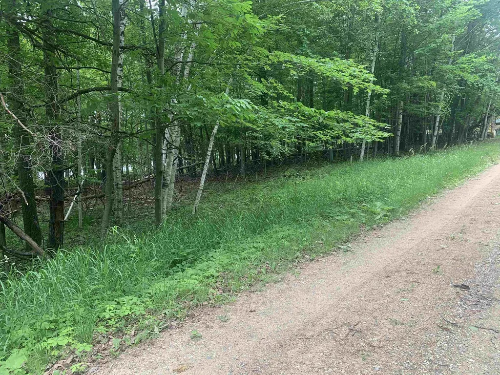 00 Wildwood Court Hartwick Township MI 49631