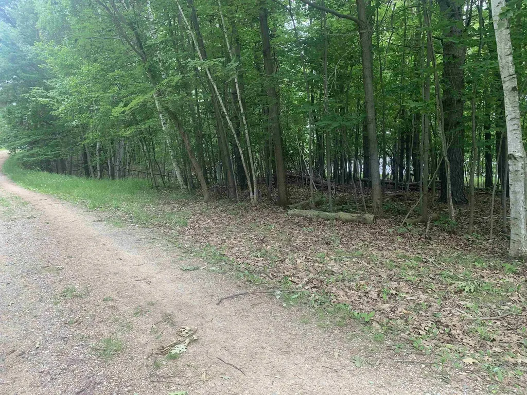 00 Wildwood Court Hartwick Township MI 49631