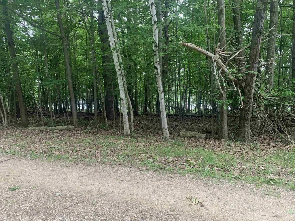 00 Wildwood Court Hartwick Township MI 49631