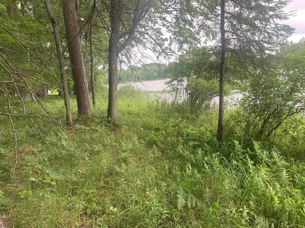 00 Wildwood Court Hartwick Township MI 49631