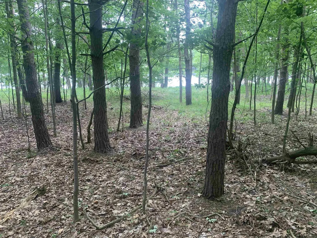 00 Wildwood Court Hartwick Township MI 49631
