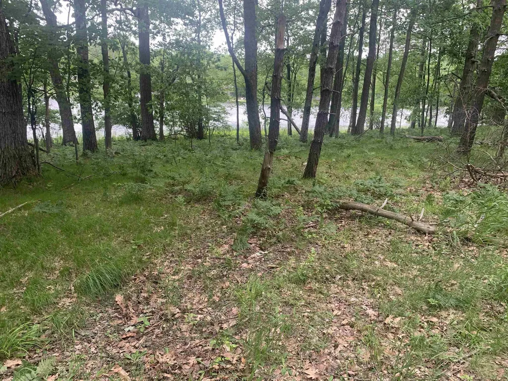 00 Wildwood Court Hartwick Township MI 49631