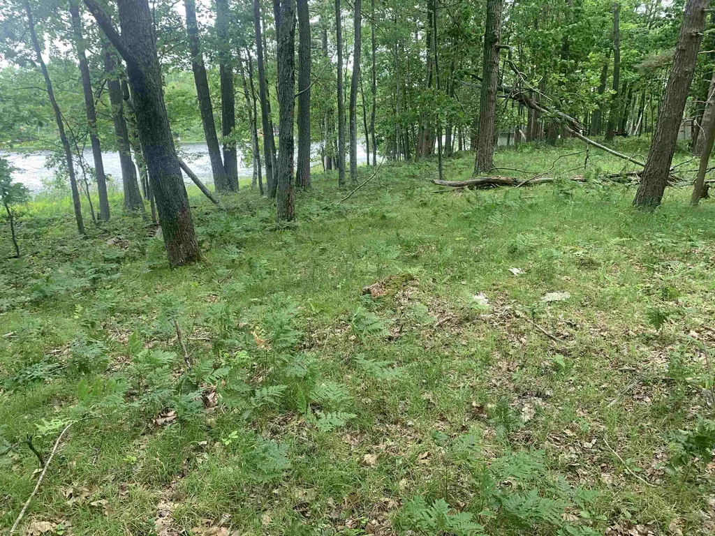 00 Wildwood Court Hartwick Township MI 49631
