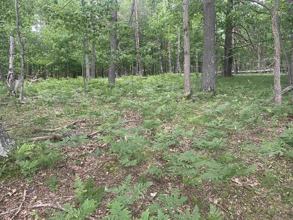 00 Wildwood Court Hartwick Township MI 49631