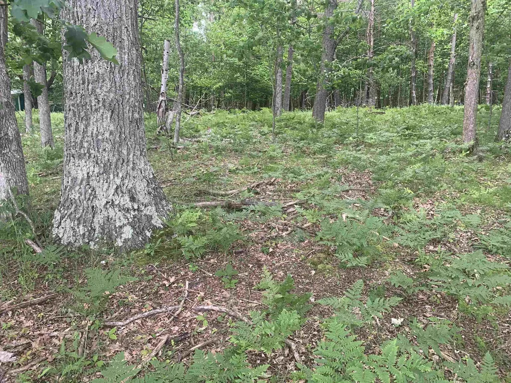 00 Wildwood Court Hartwick Township MI 49631