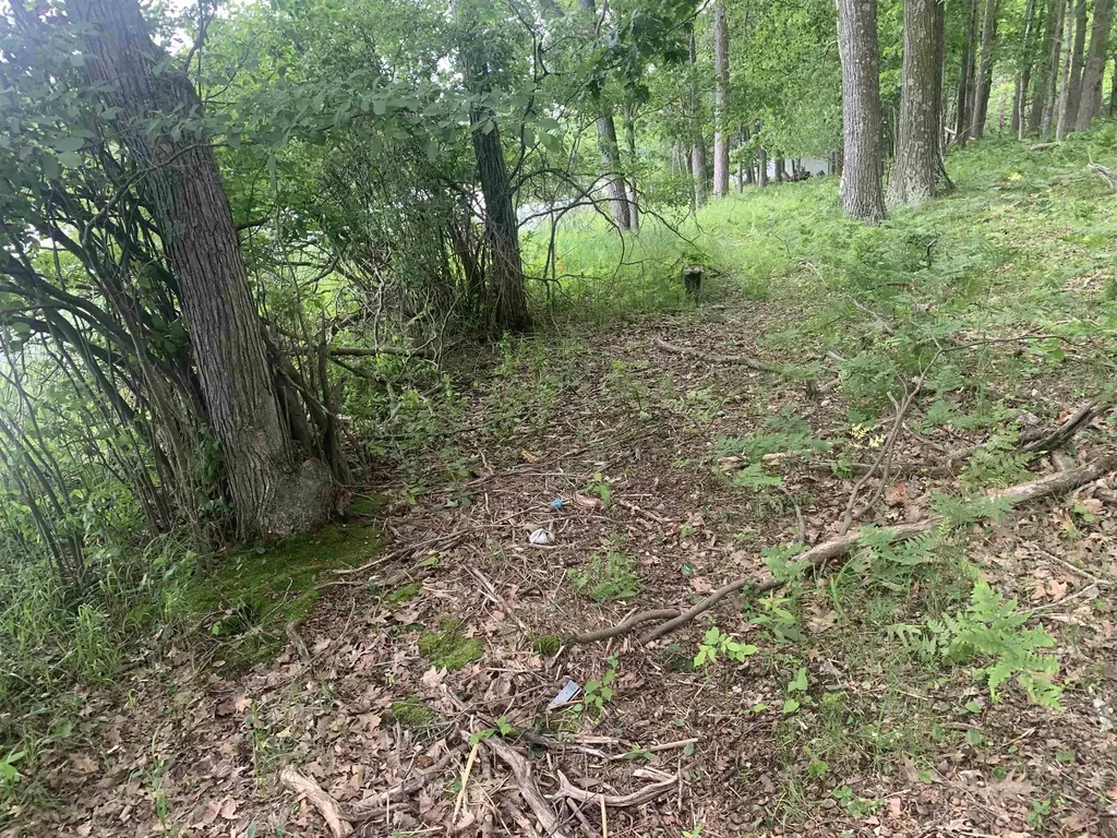 00 Wildwood Court Hartwick Township MI 49631