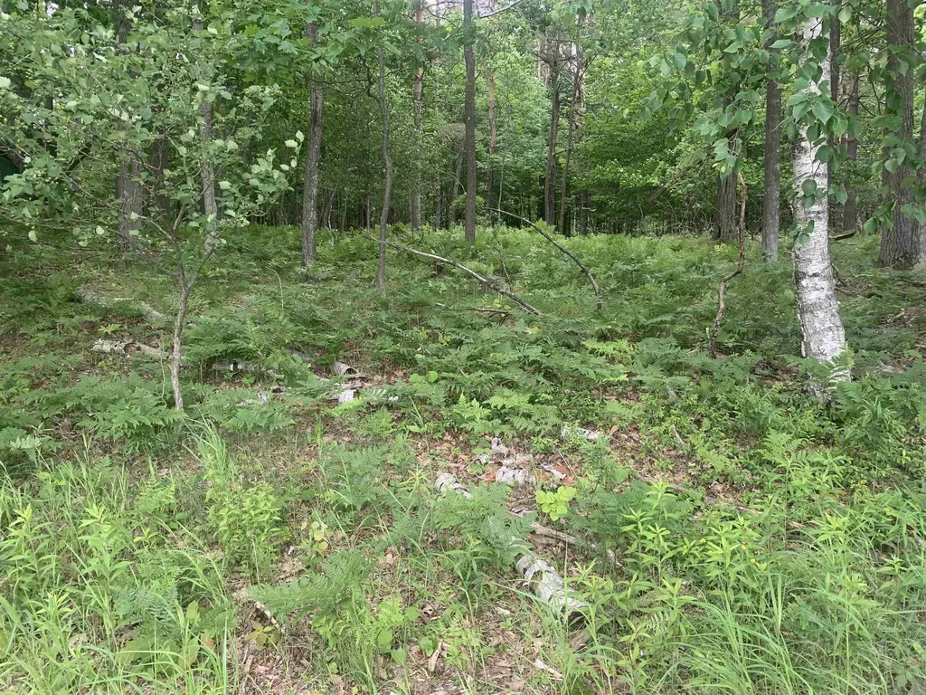 00 Wildwood Court Hartwick Township MI 49631