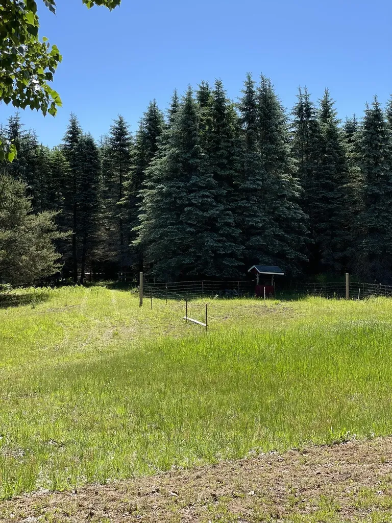 6855 W Sharon Road, SW Springfield Township MI 49633