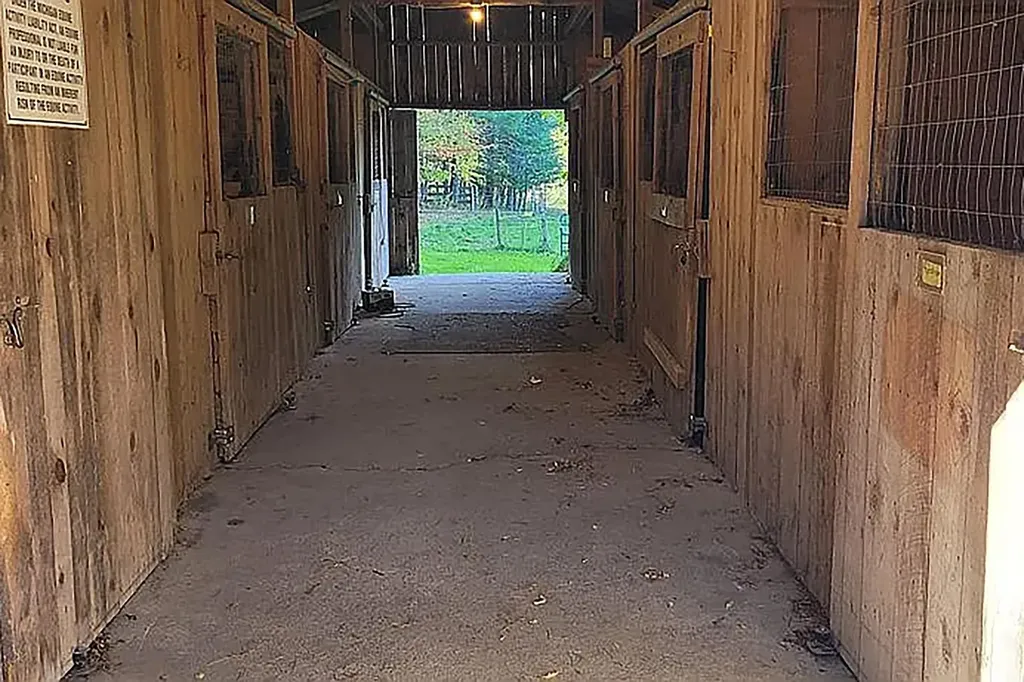 8100 Hodge Road Fife Lake Township MI 49649