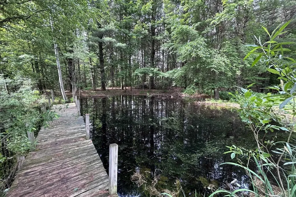 8100 Hodge Road Fife Lake Township MI 49649