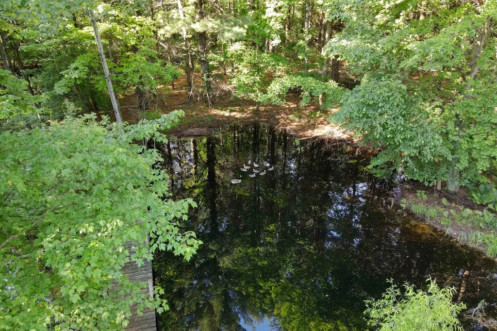 8100 Hodge Road Fife Lake Township MI 49649