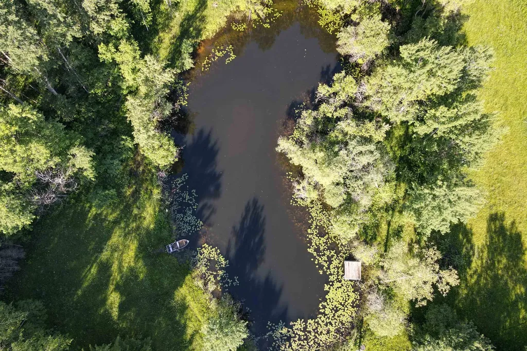 8100 Hodge Road Fife Lake Township MI 49649