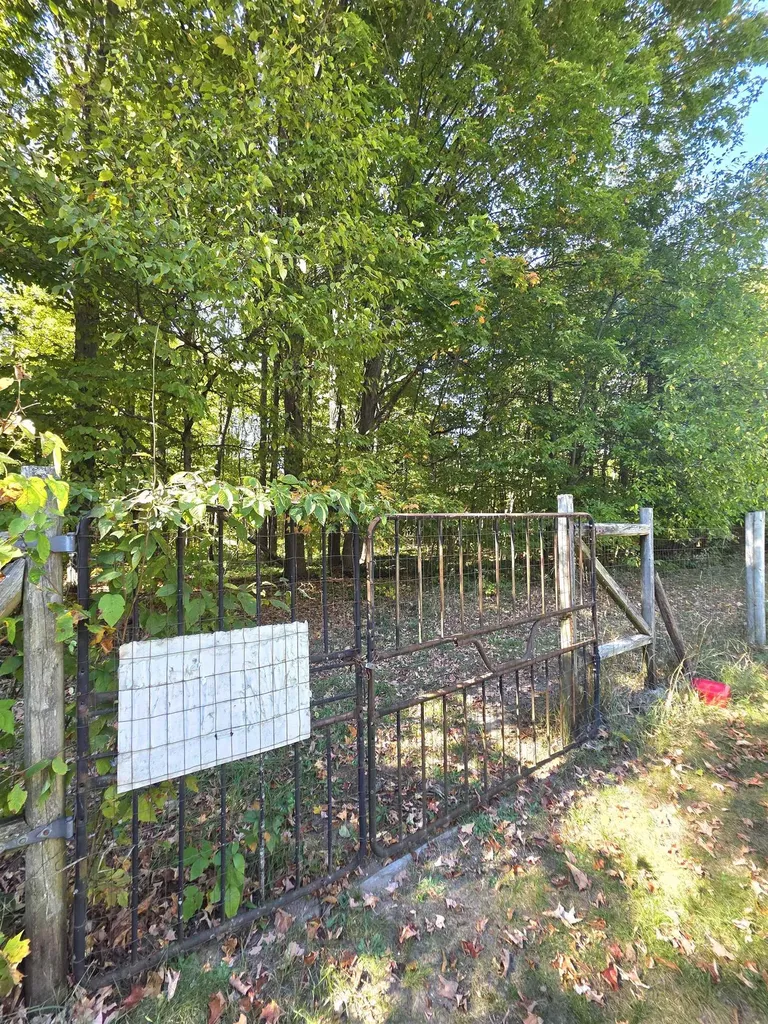 2822 W Ironwood Drive Blair Township MI 49685