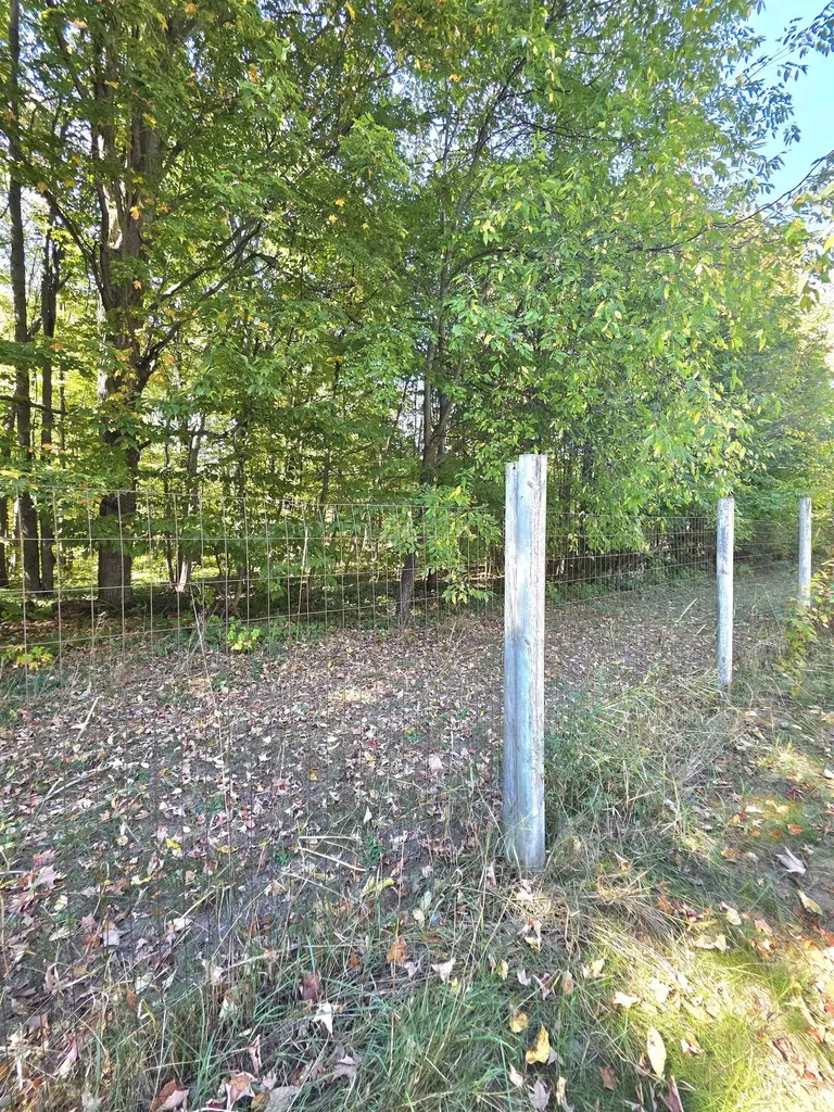 2822 W Ironwood Drive Blair Township MI 49685