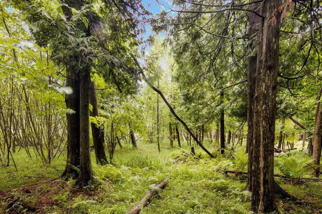 4361 Jeri Road Almira Township MI 49643