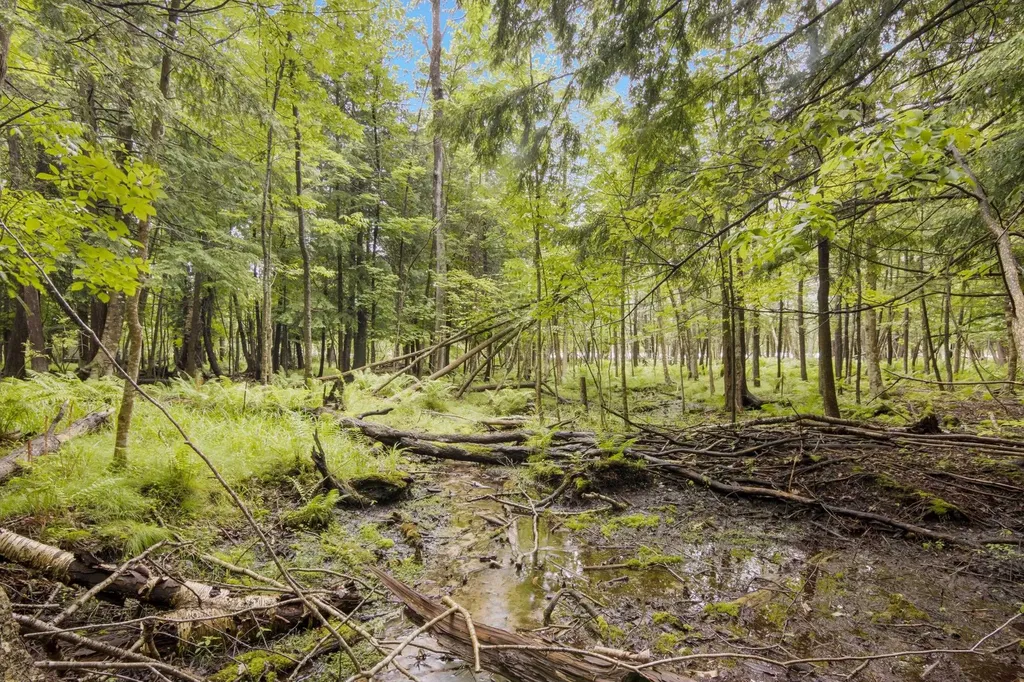 4361 Jeri Road Almira Township MI 49643
