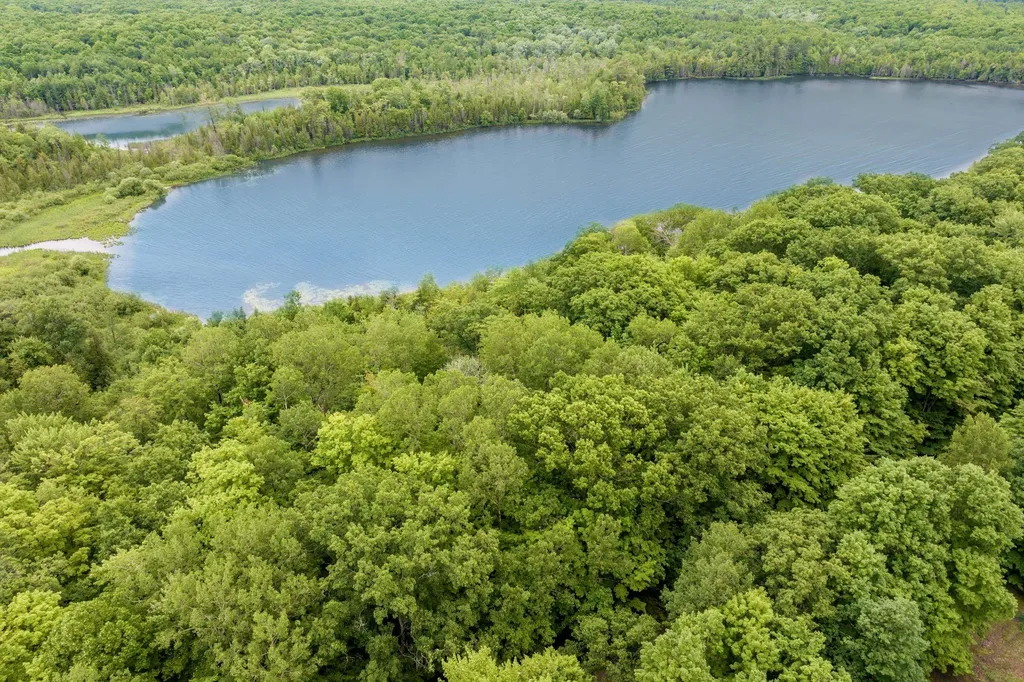 4361 Jeri Road Almira Township MI 49643