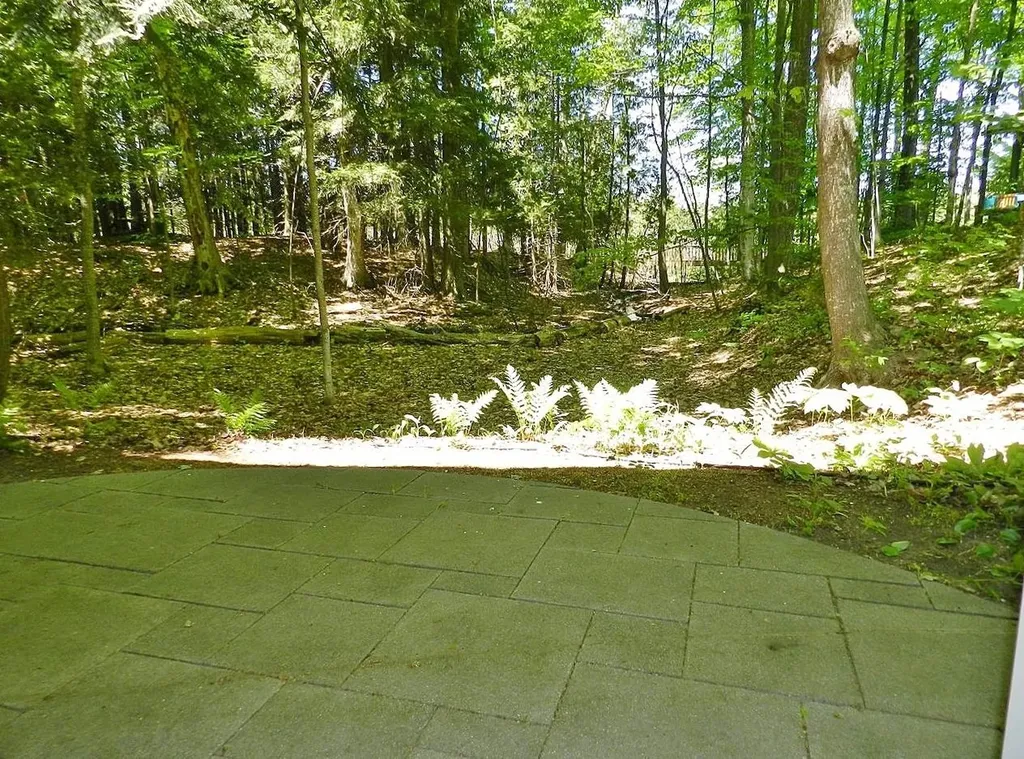 12055 S Woodwinds Circle Elmwood Charter Township MI 49684