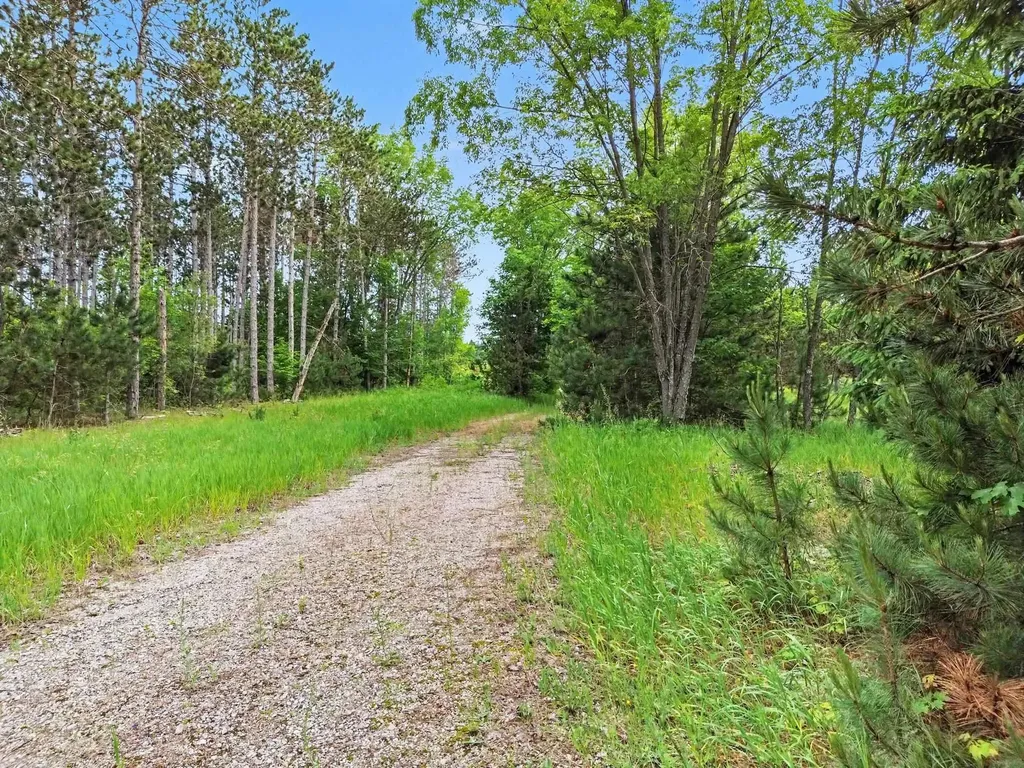 0 W 12 1/2 Road Wexford Township MI 49668