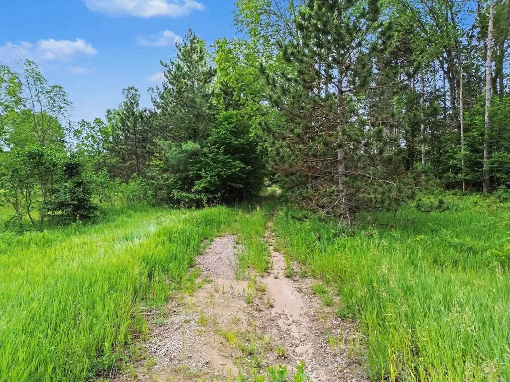 0 W 12 1/2 Road Wexford Township MI 49668