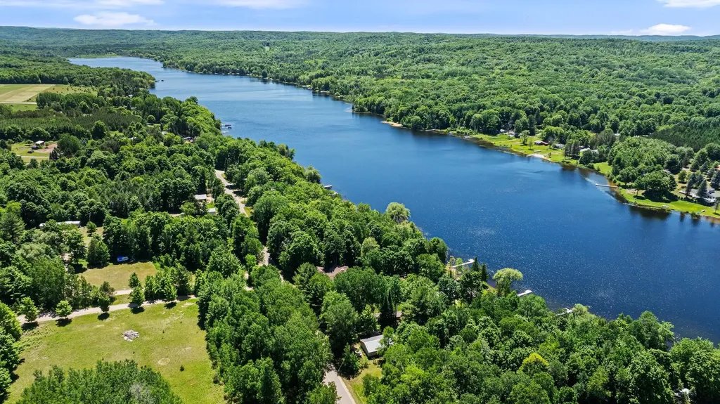 5541 Miles Road South Arm Township MI 49727