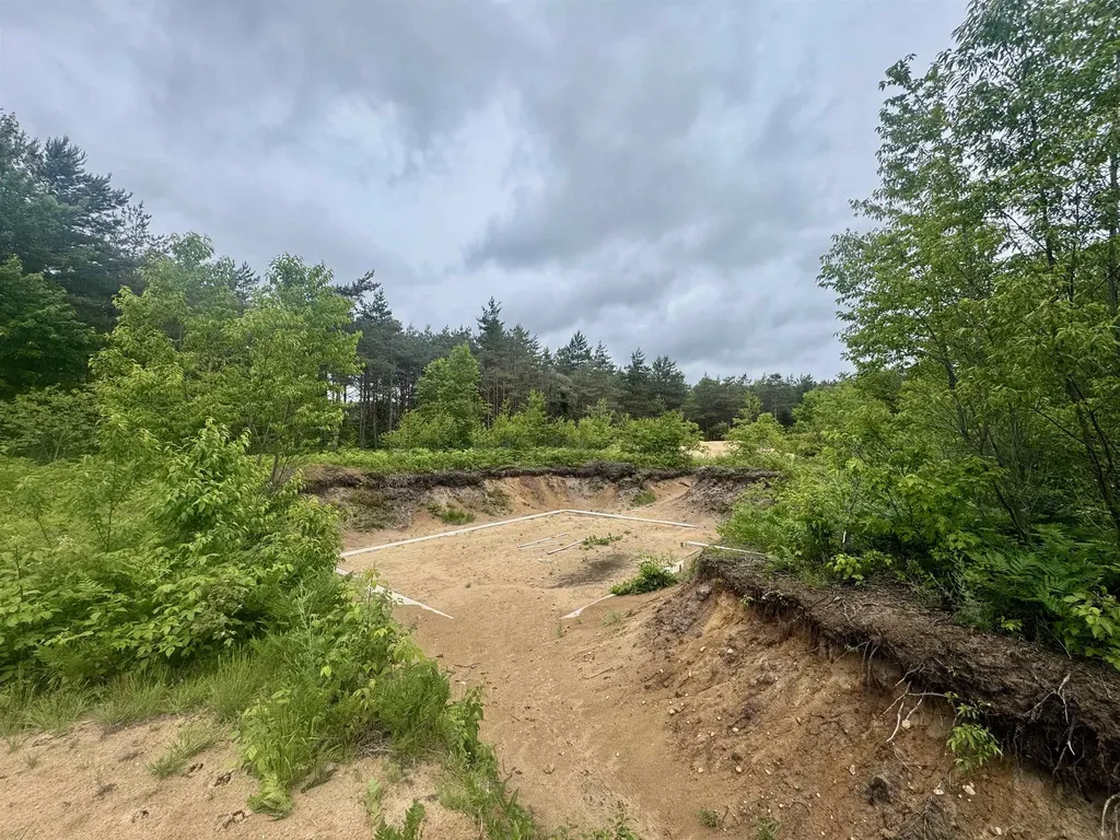 2406 E 32 Road Selma Township MI 49601