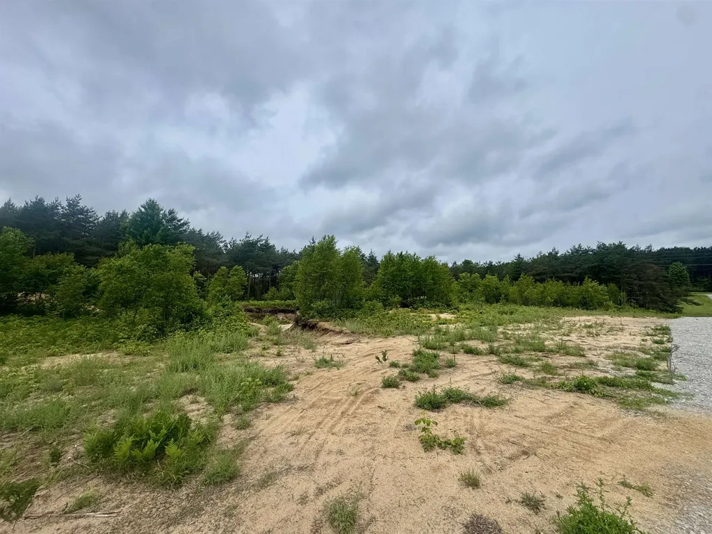 2406 E 32 Road Selma Township MI 49601