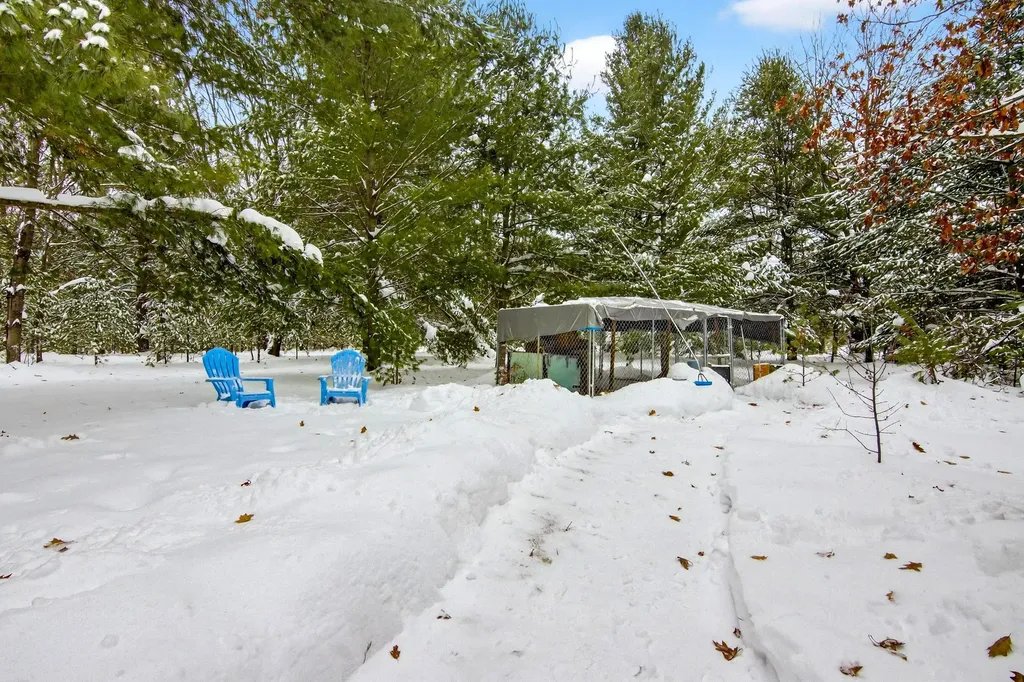 11775 Country Acres Drive Grant Township MI 49643