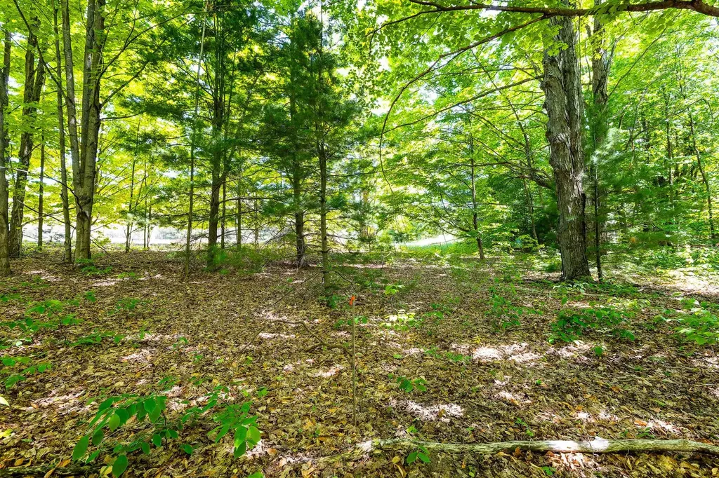 7764 S Weldon Road Weldon Township MI 49683