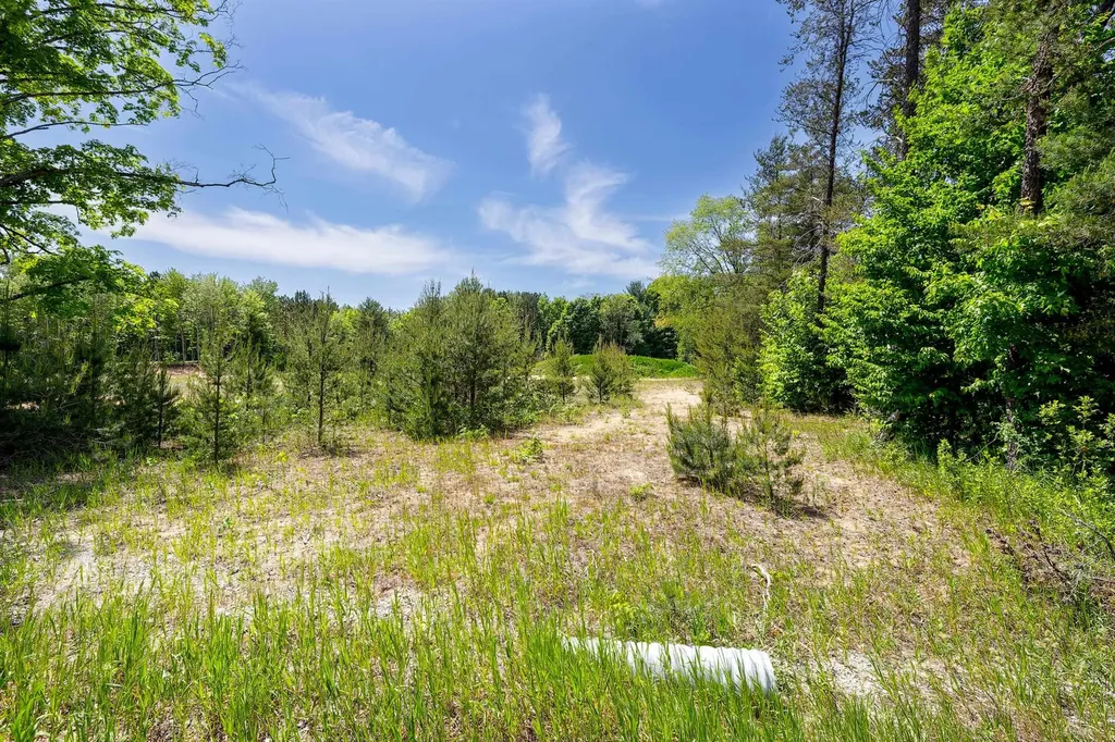 7764 S Weldon Road Weldon Township MI 49683